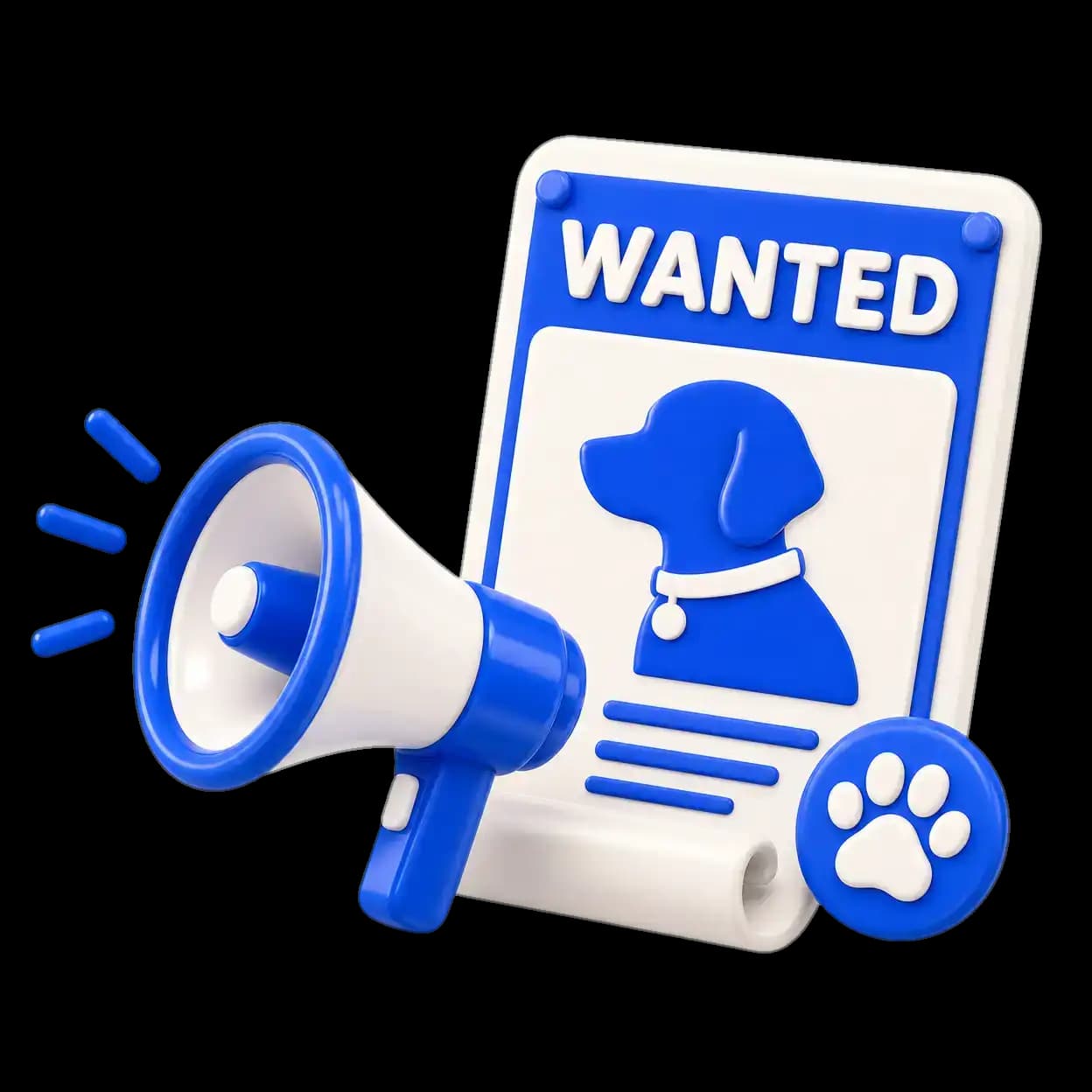 Lost & Found + Wanted