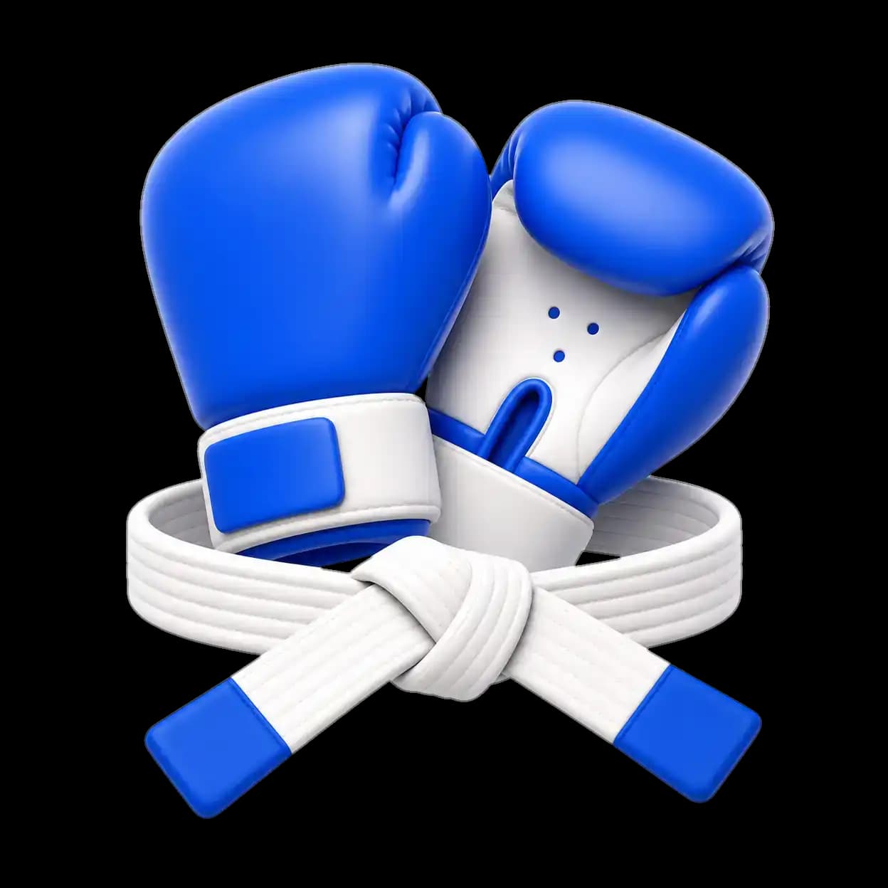 Combat & Martial Arts